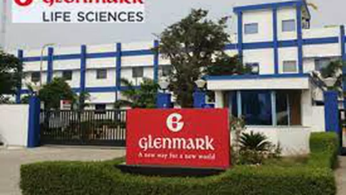 Broker s Call Glenmark Life Sciences Buy The Hindu BusinessLine